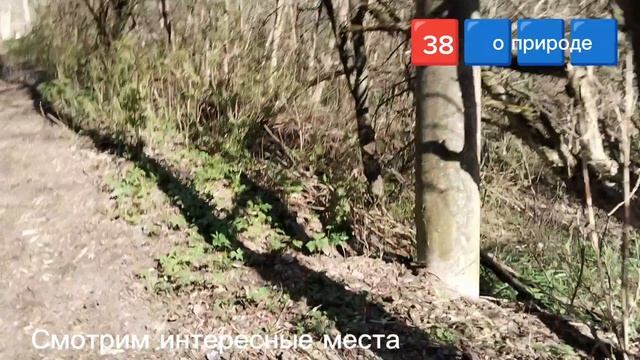 О природе (38  FM)