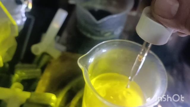 Первый королёк