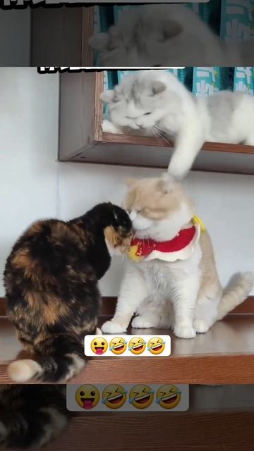 1000014675.mp4