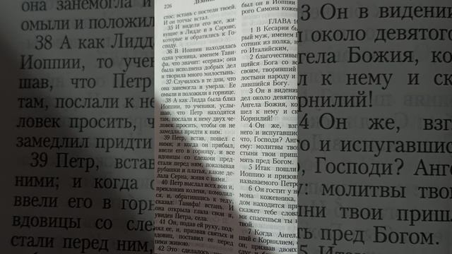 Патриарховская правда про беса.