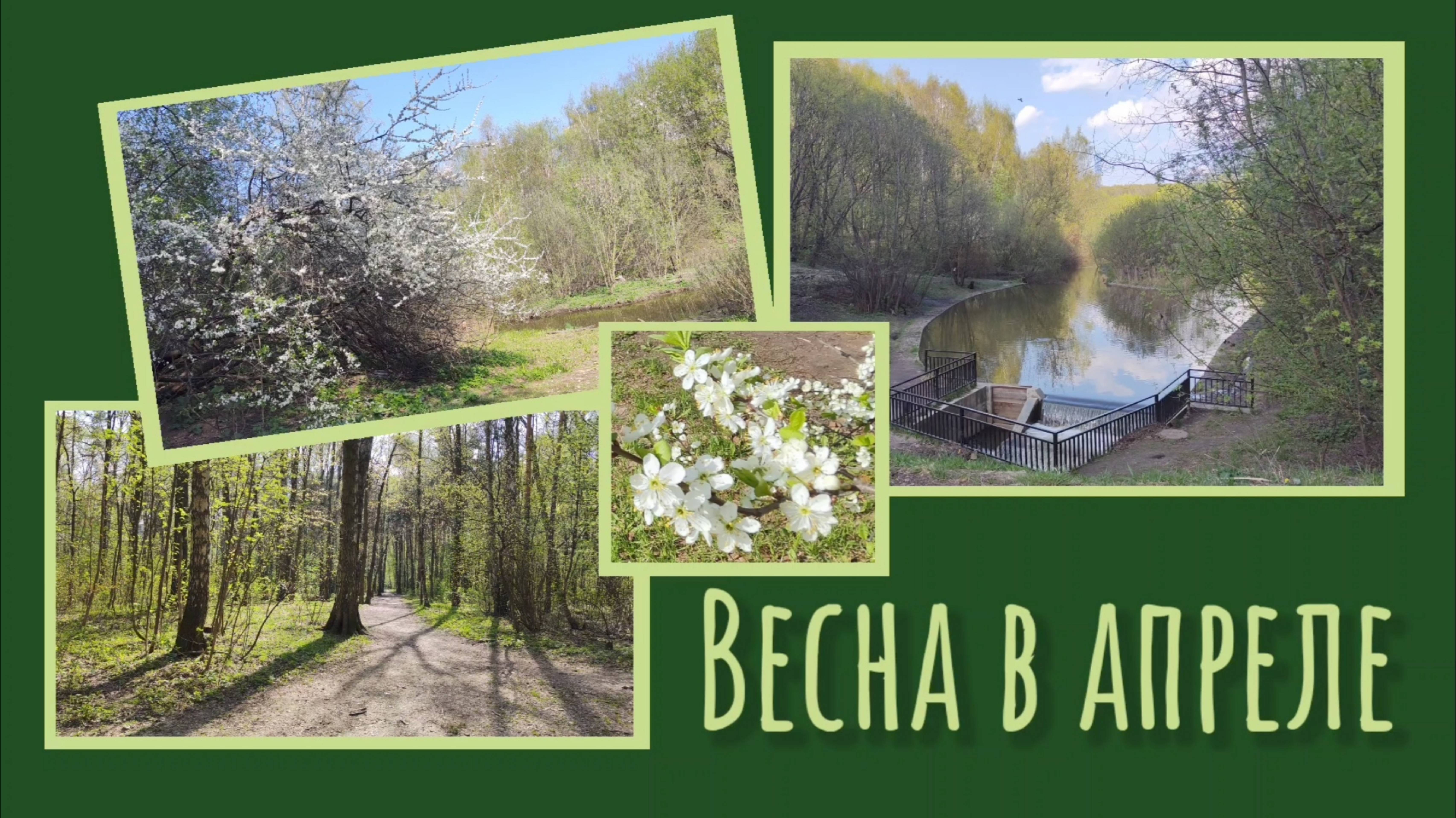 Весна в апреле 22.04.2025 года.