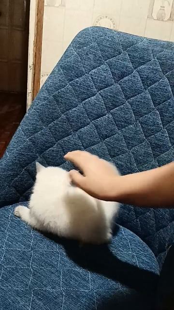 Утренний заряд.