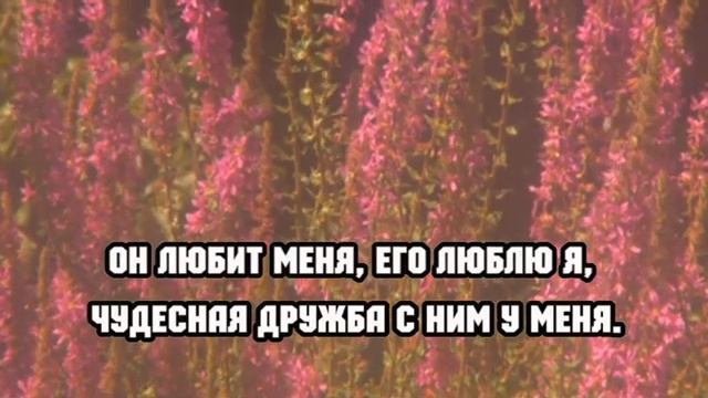 Любит Иисус меня. Христианское караоке 🎤