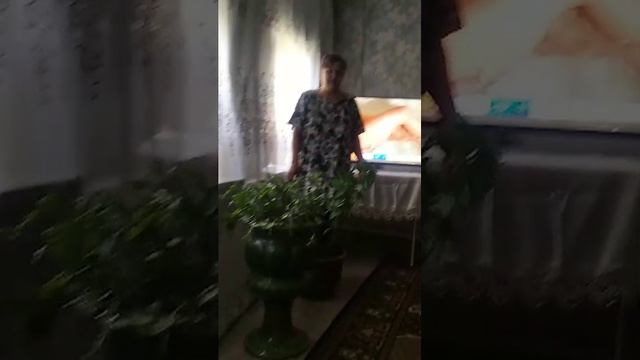 катя