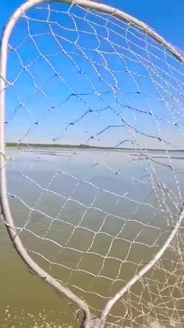 Выши крыши, новый канал .#2024#лето#лето2024#рыбалка#канал #