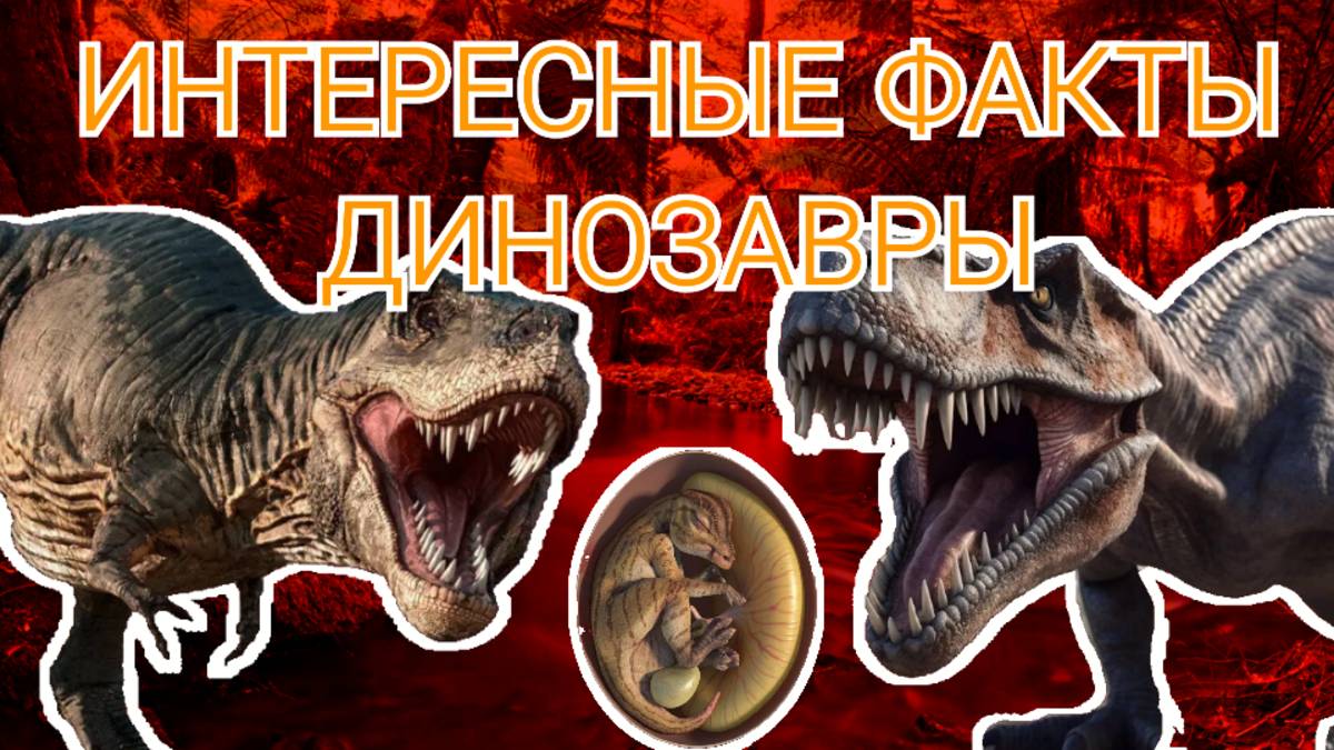 Интересные факты о Динозаврах