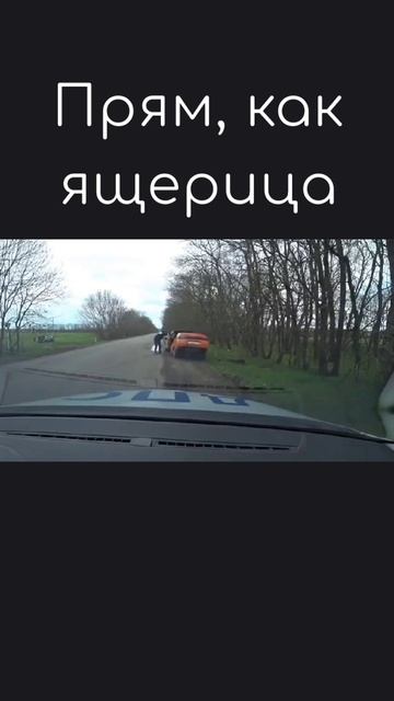 Прям, как ящерица.