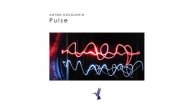 Anton Dolgushin - Pulse