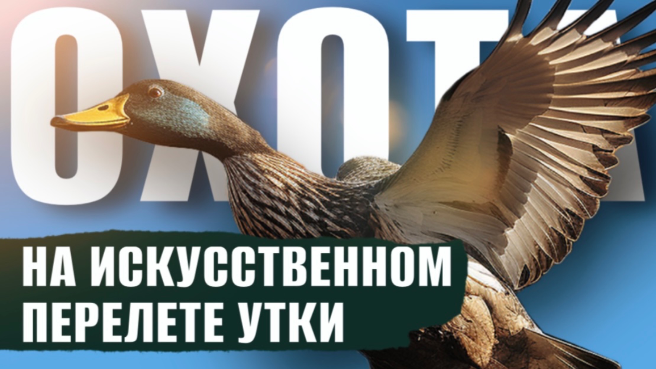 ТАКУЮ ОХОТУ ВЫ ЕЩЕ НЕ ВИДЕЛИ / ОХОТА НА ИСКУССТВЕННО СОЗДАННОМ ПЕРЕЛЕТЕ УТКИ