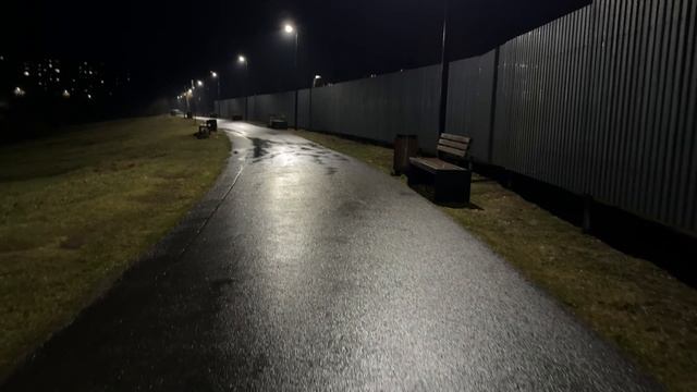 ВЕЧЕРНЯЯ ПРОГУЛКА У ПРУДА