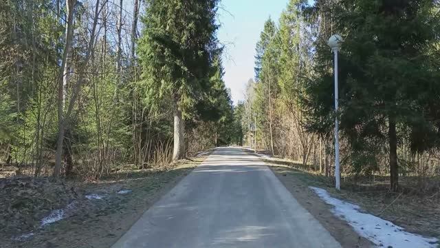 Загорские дали. 23.03.2025 г.