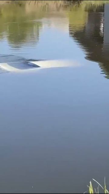 В ДАР НЕПТУНУ: в Семилукском районе леди решила покататься на машине и утопила её. В реке.