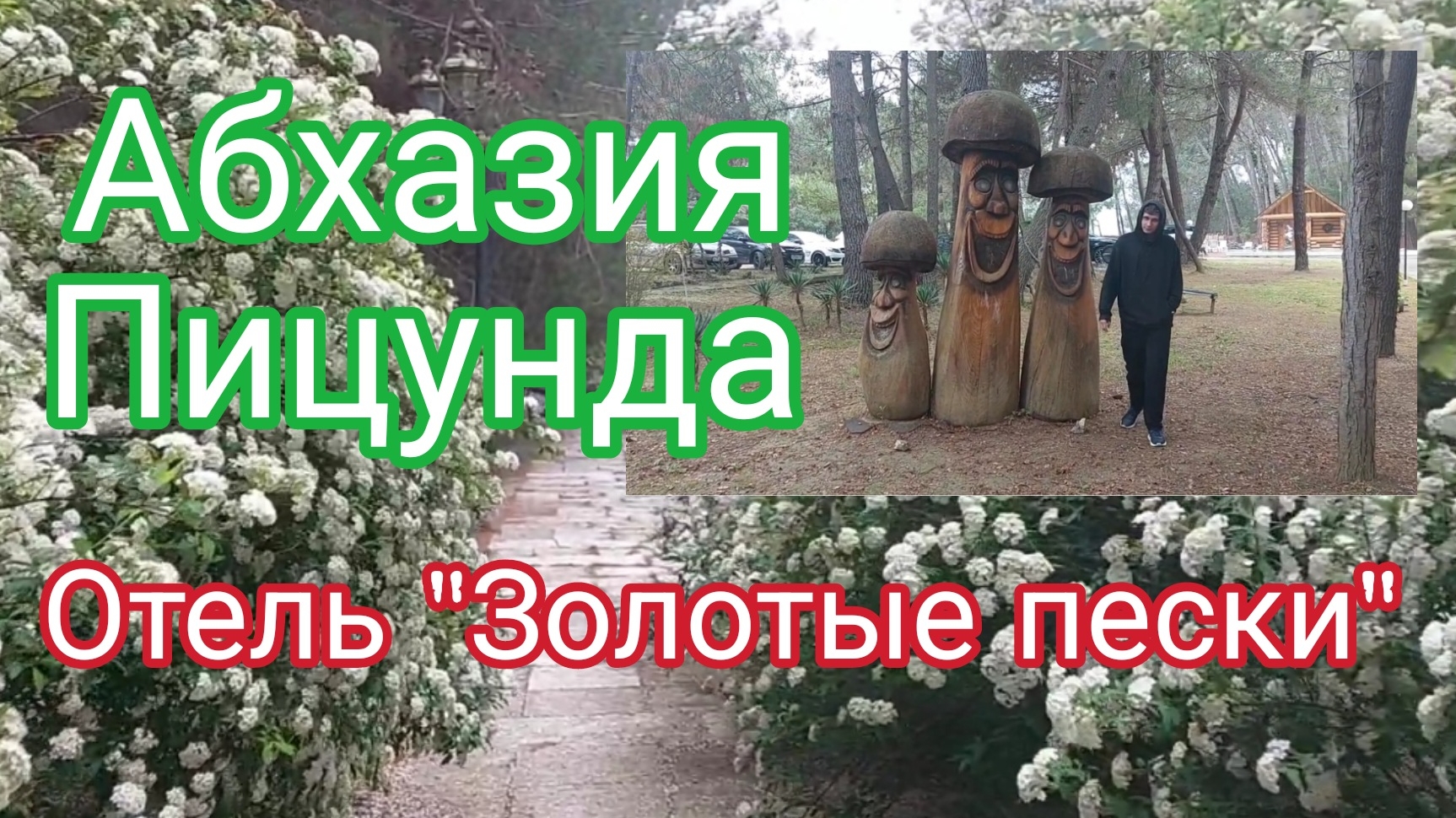 Абхазия, Пицунда, отель "Золотые пески"