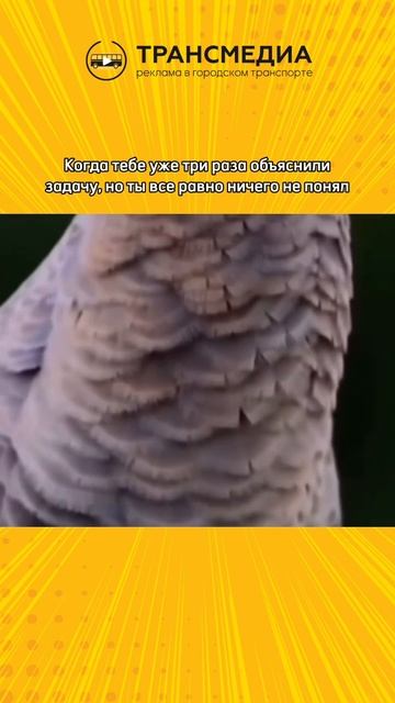 знакомо?