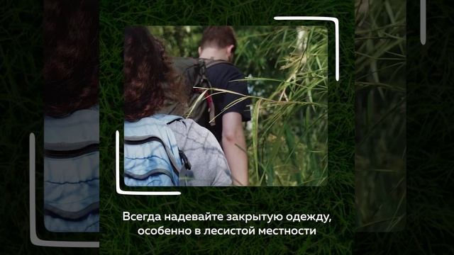 Осторожно, клещи