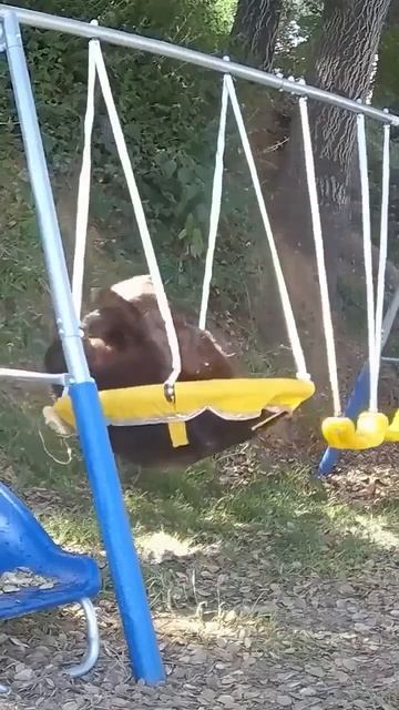 Мишка😁