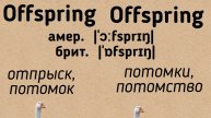 Irregular plural nouns👉offspring/offspring