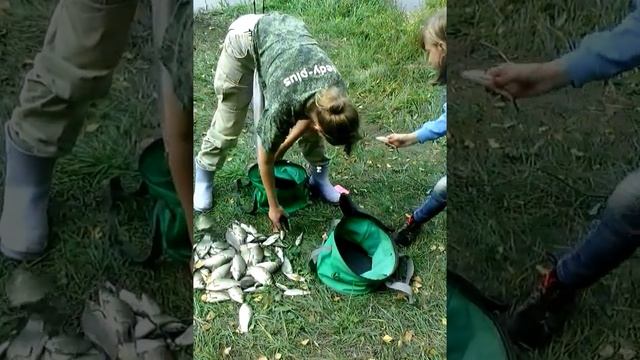 рыба