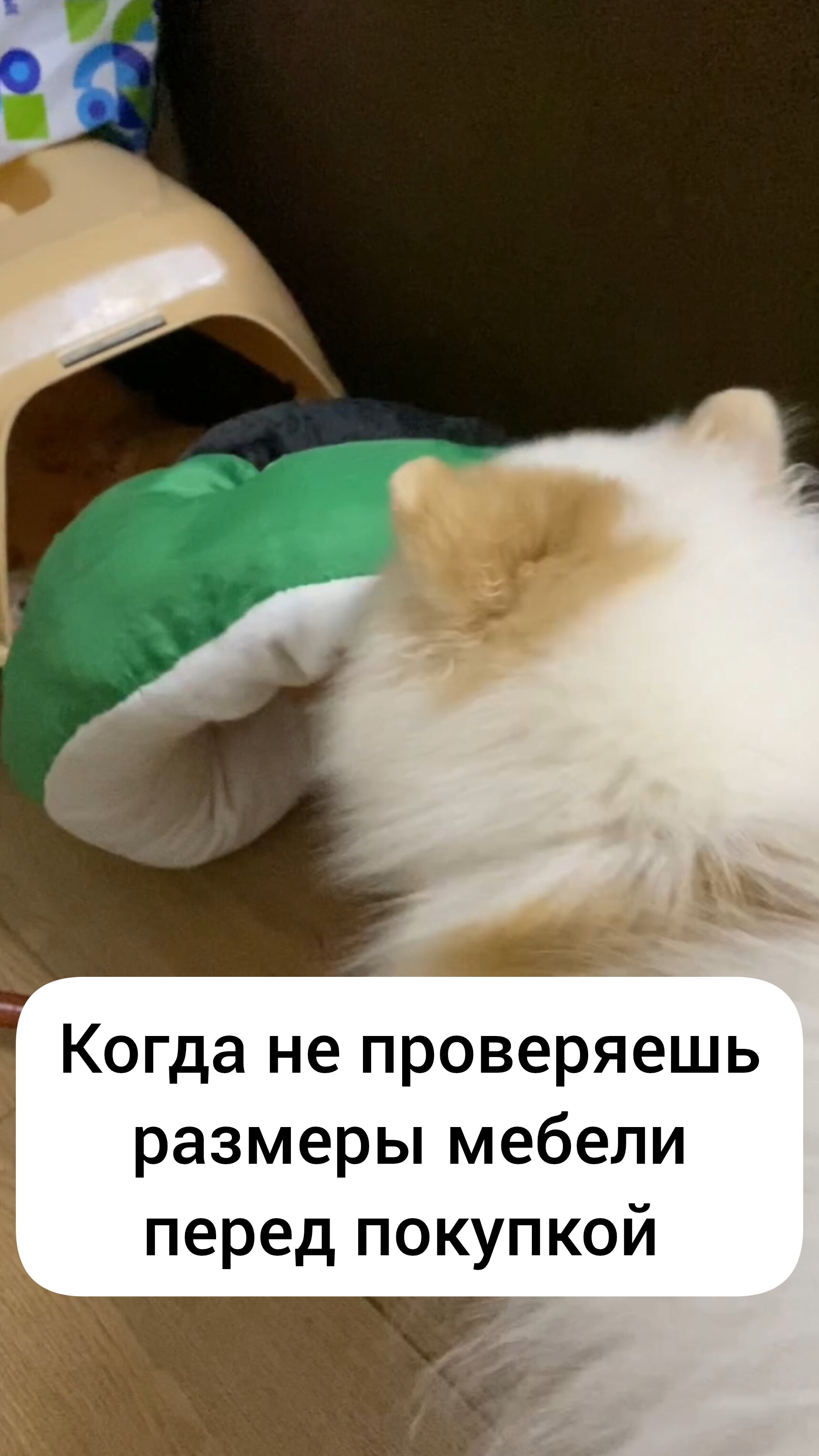 Когда не проверишь размеры мебели перед покупкой