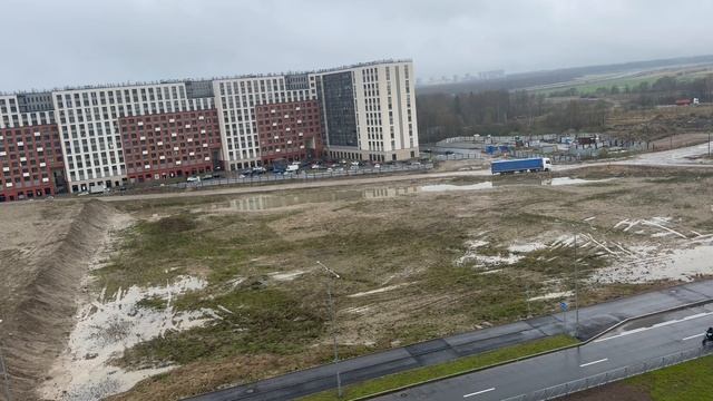 пасмурное утро