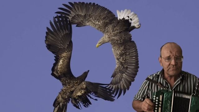 Два орла. О. Газманов. Ремикс на гармони фа мажор