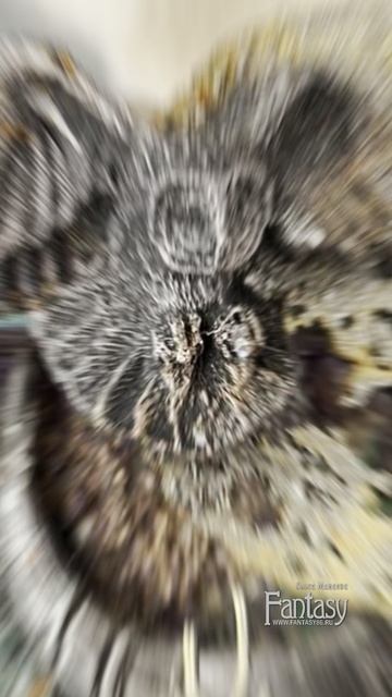 Холст «Нимфа ночного леса» для Fantasy