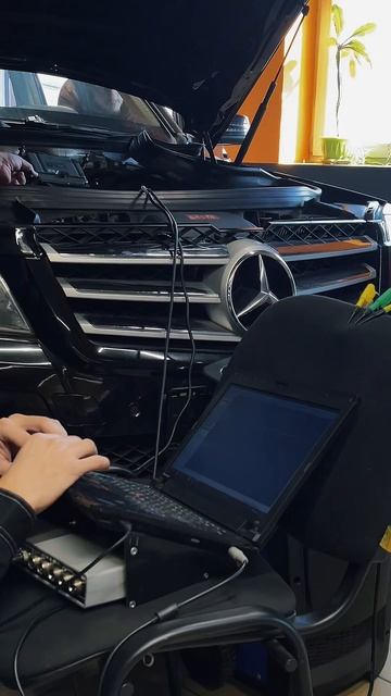 Учебный процесс в El’auto