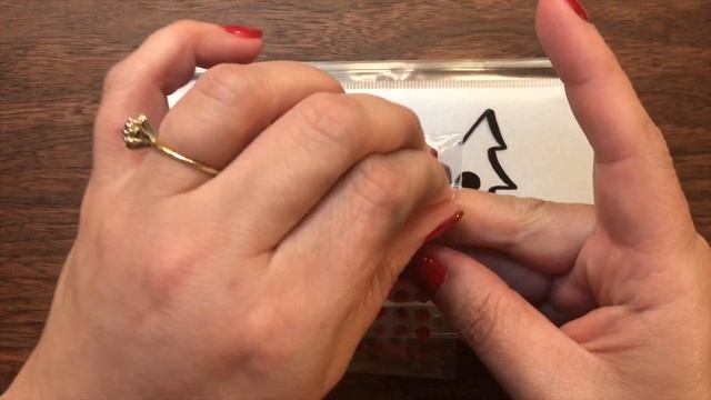DIY Custom Cash Envelope | Ep. 7 | A TROPICAL DEPRESSION HIT WHILE FILMING!!!  || Envelope System