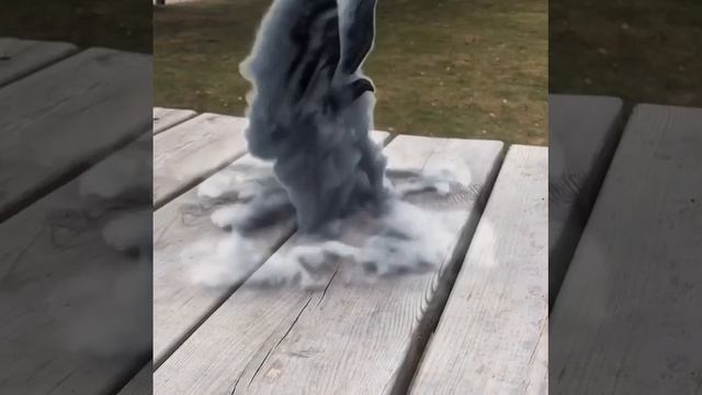 1000005983.mp4