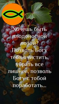 "Хочешь быть плодоносной лозой?"