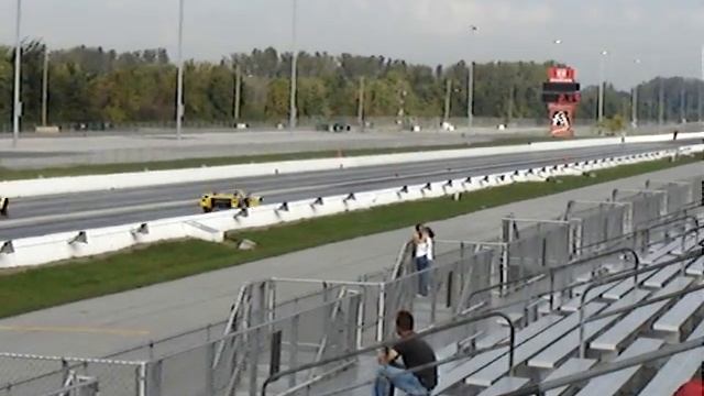 Mongoose Yellow GTP Vs. Yellow Cobra