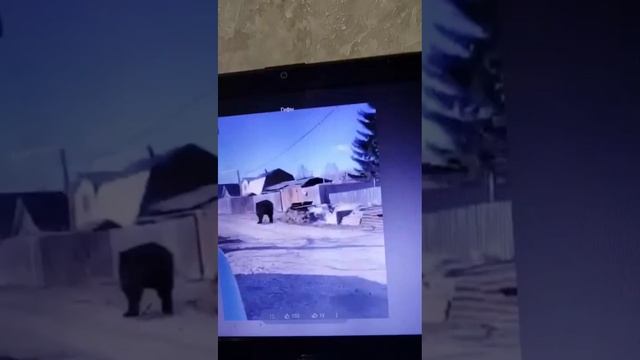 Незваный гость лучше .... кого?
