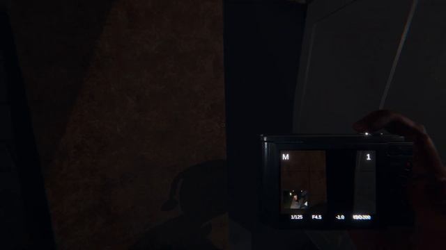 Призрак скулил в подвале, а потом открыл на нас охоту в игре: Phasmophobia.