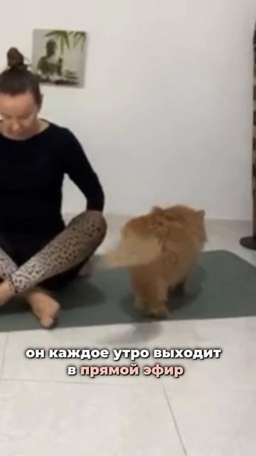 ЛИЧНЫЙ ТРЕНЕР