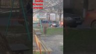 #птицы #южнаяптица #топ #милота #птичка #юг