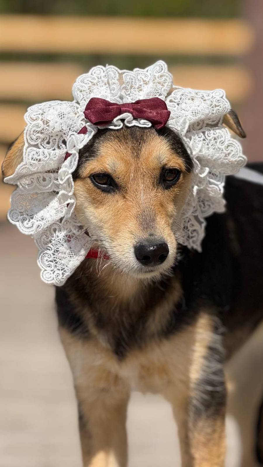 ЛиЛу ждёт любимые ручки