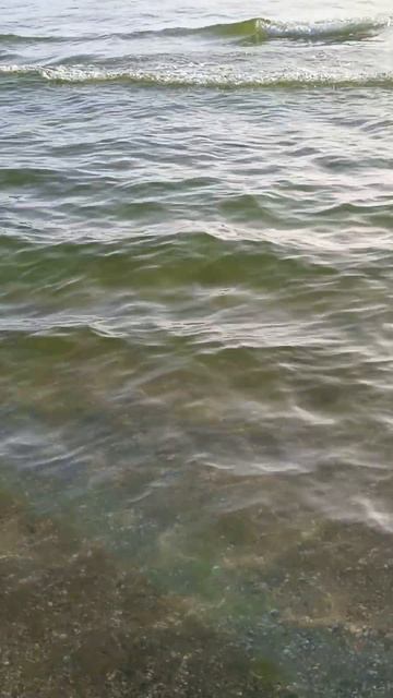 Анапа центральный пляж. Полный шок. Ужас .