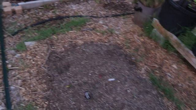 May Kitchen Garden Tour + Harvest | North Texas