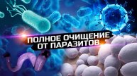Итоги программы "Инструкция к телу" 2024
