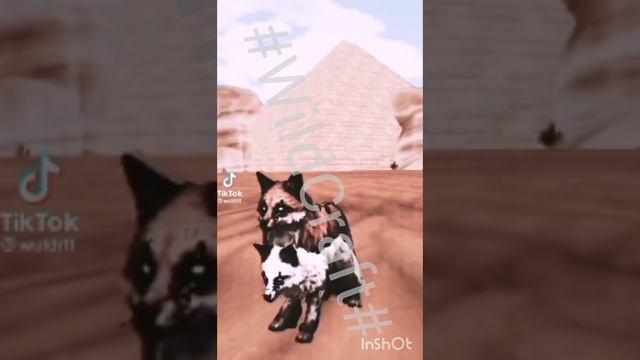 Тт подборка WildCraft простите не я складывала видео, на автора подписана)