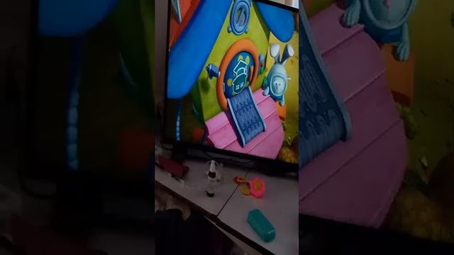 губки