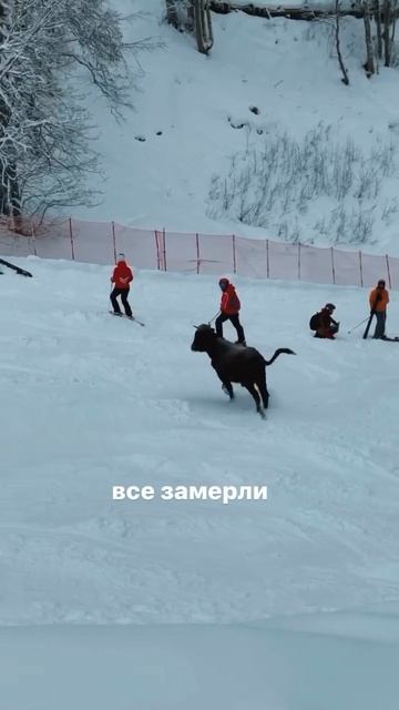 Мяснина на Южном склоне Роза Хутор  Признавайтесь, кто тут в красной куртке катает  Хотите в корриду