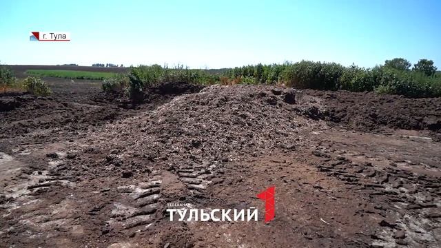 Центральную Россию атакуют полчища мух