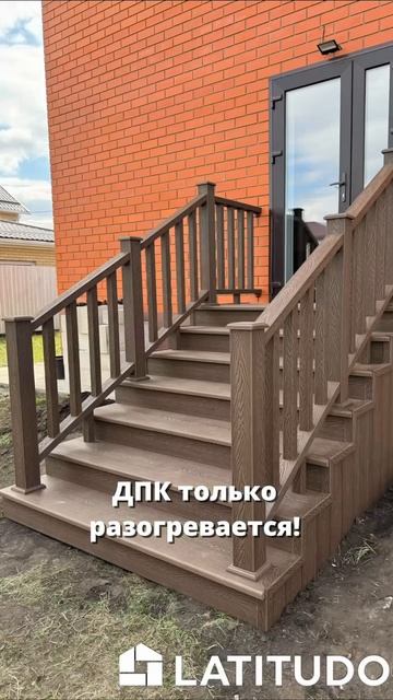 ⚡️ «Дерево устало. ДПК только разогревается!» ⚡️