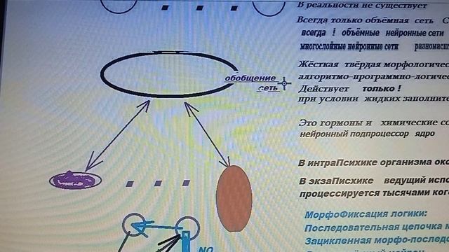 9-3+++   Топоника адгезии  вещественного физиологического субстрата психики  Единица адгезий  MSI