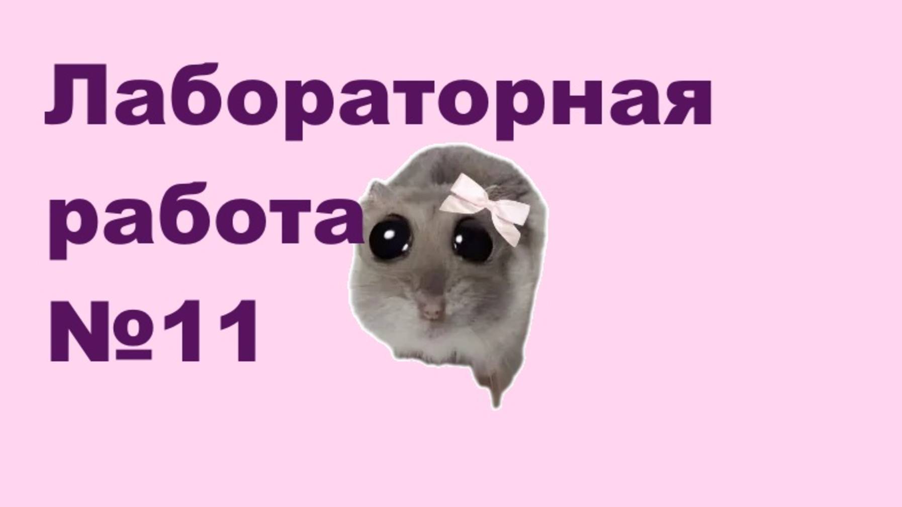 Лабораторная работа №11