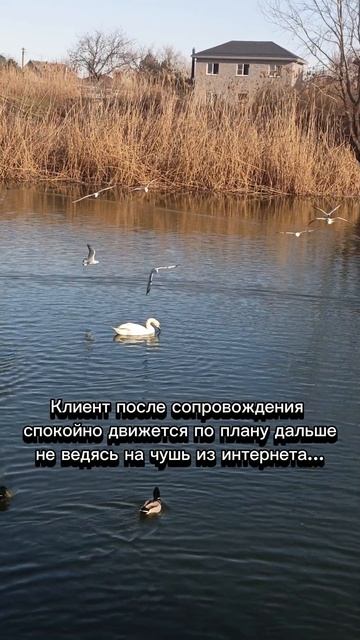 Бред о рыбе, кофе, твороге, зерновых, яйцах.