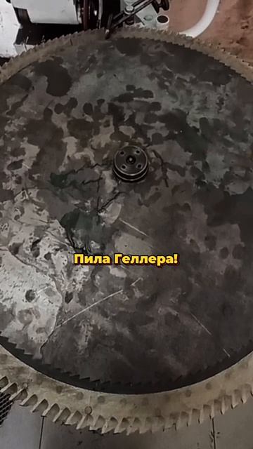 Заточка пилы Геллера — возвращаем остроту и точность!
