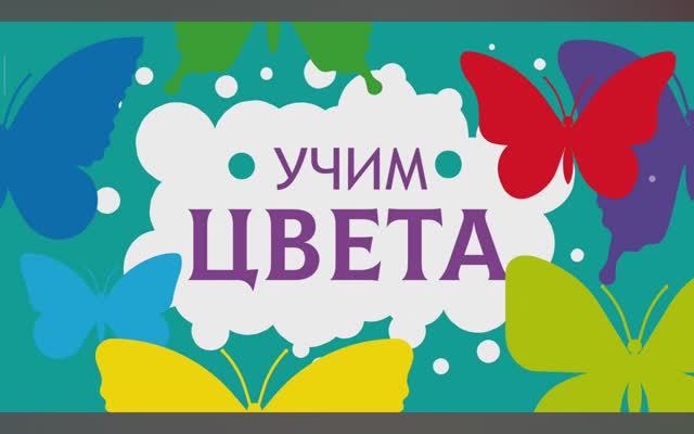 Карточки Домана. Учим цвета.