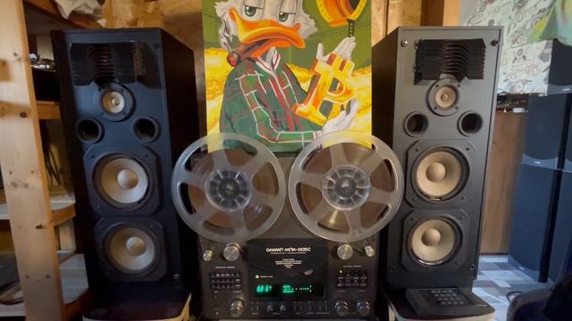 Акустика Goodmans ht-170